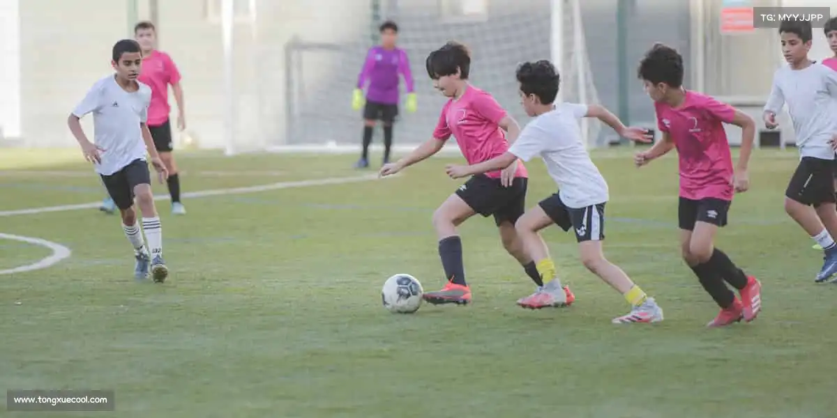 <strong>b体育官网</strong>🧗‍♂️向上攀登，永不止步 —— 山顶的风景，只属于勇敢的追梦者！